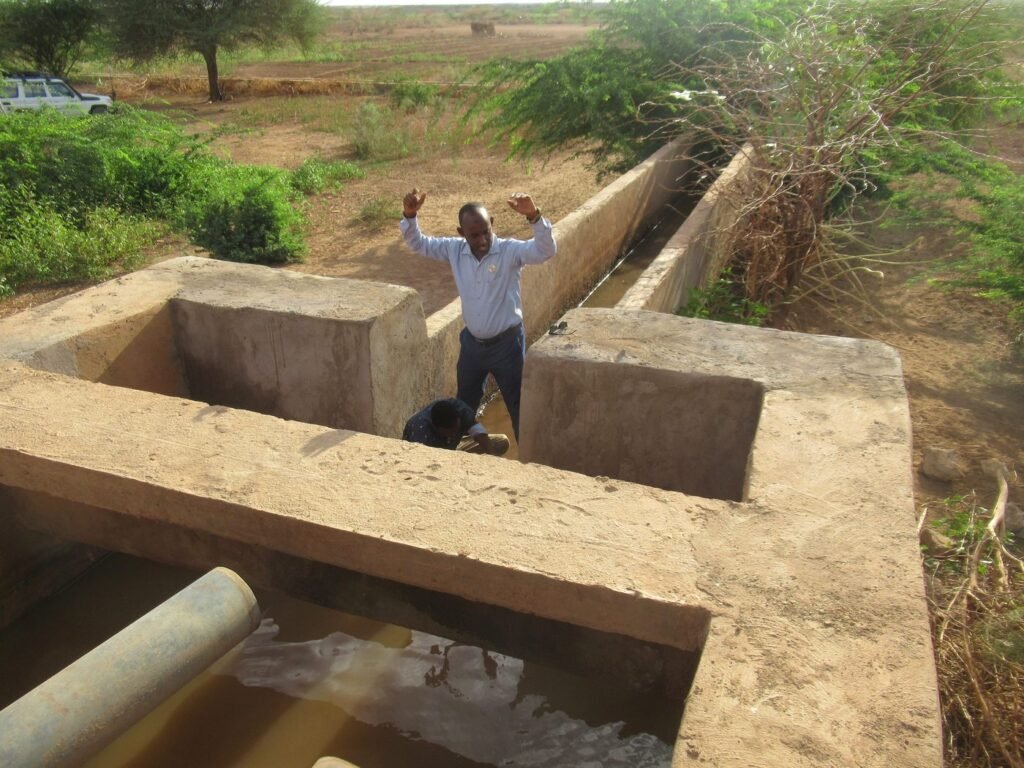 Irrigation infrastructure serving farmland in Dollo Ado Woreda