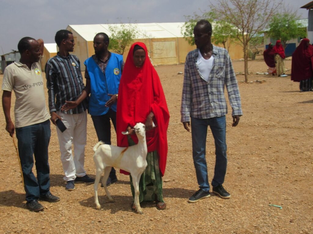 A woman receiving a goat at a livestock handover in Dollo Ado