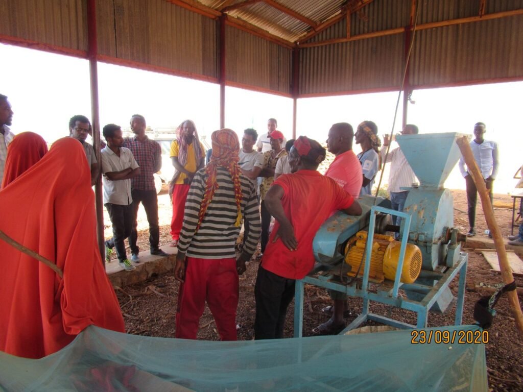 Women at a grain grinding mill supplied through the Wa-PYDO livelihoods programme
