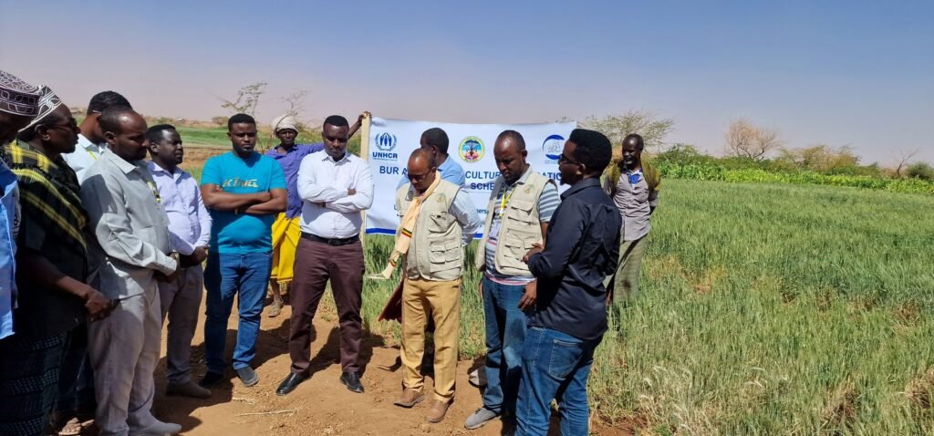 Wa-PYDO staff and partners in an irrigated onion field, Dollo Ado