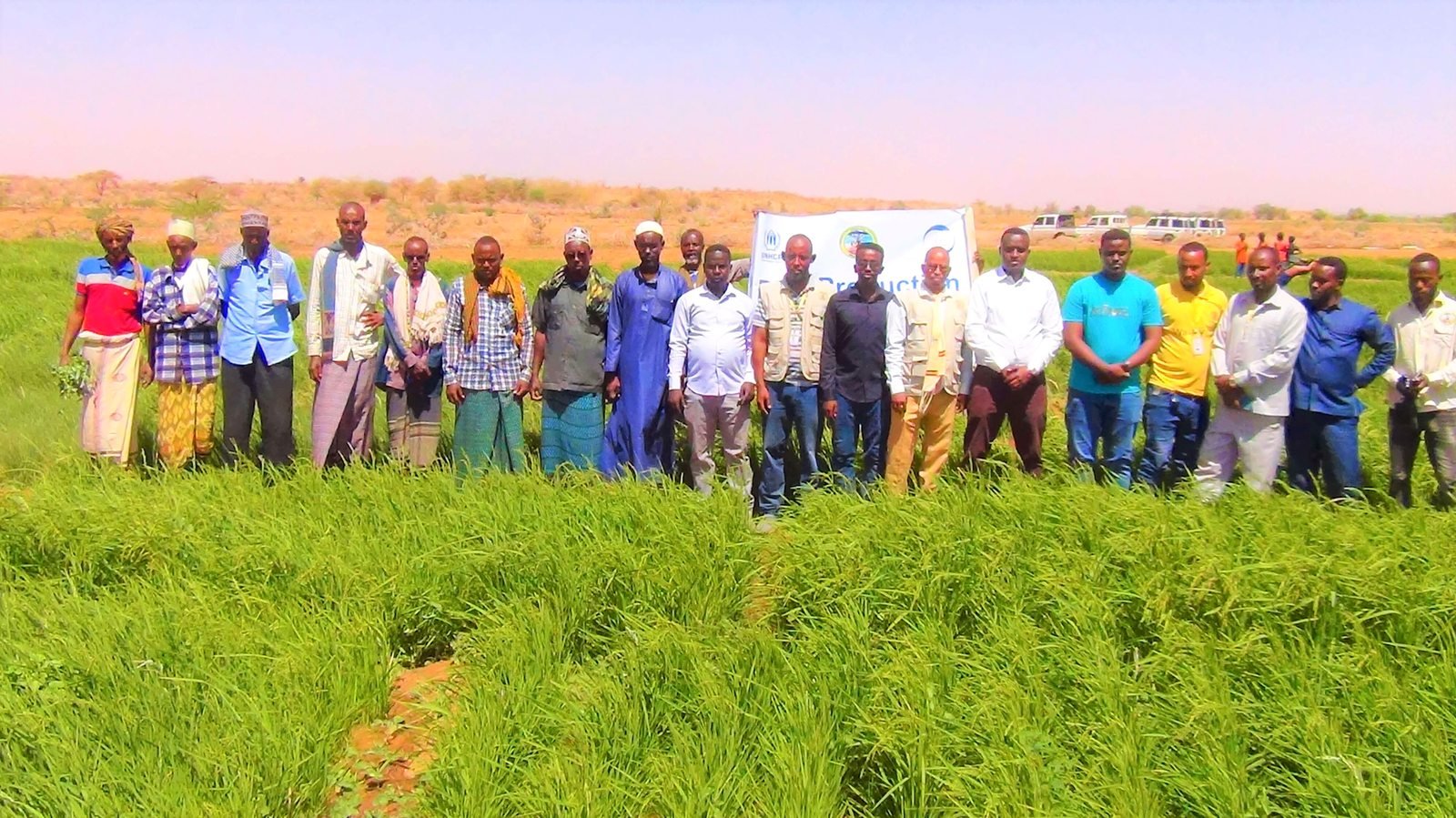 Farmers, Wa-PYDO staff and partners at a rice production field day in Dollo Ado