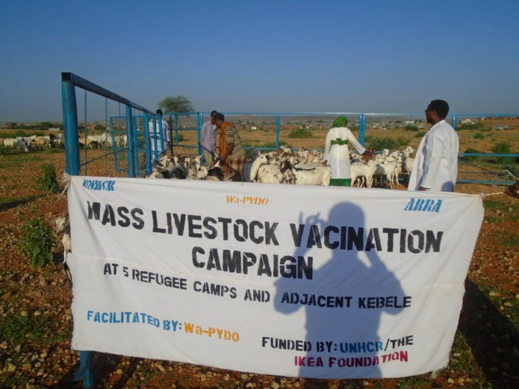 Mass livestock vaccination campaign banner at a Wa-PYDO site in the Dollo Ado camps